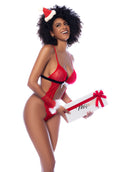 Mapale 60039 Mrs. Claus Costume