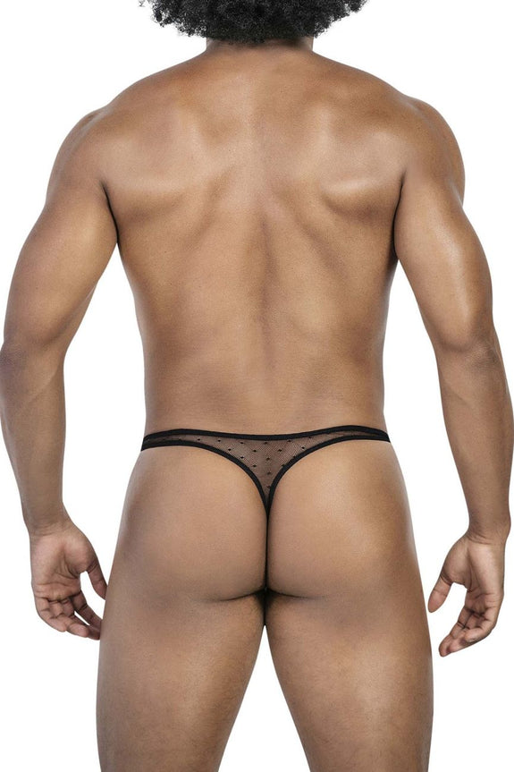 Clever 100008 3PK Autralian Latin Thongs - SomethingTrendy.com