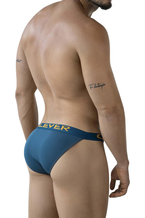 Clever 2009 Earthskin Bikini - SomethingTrendy.com