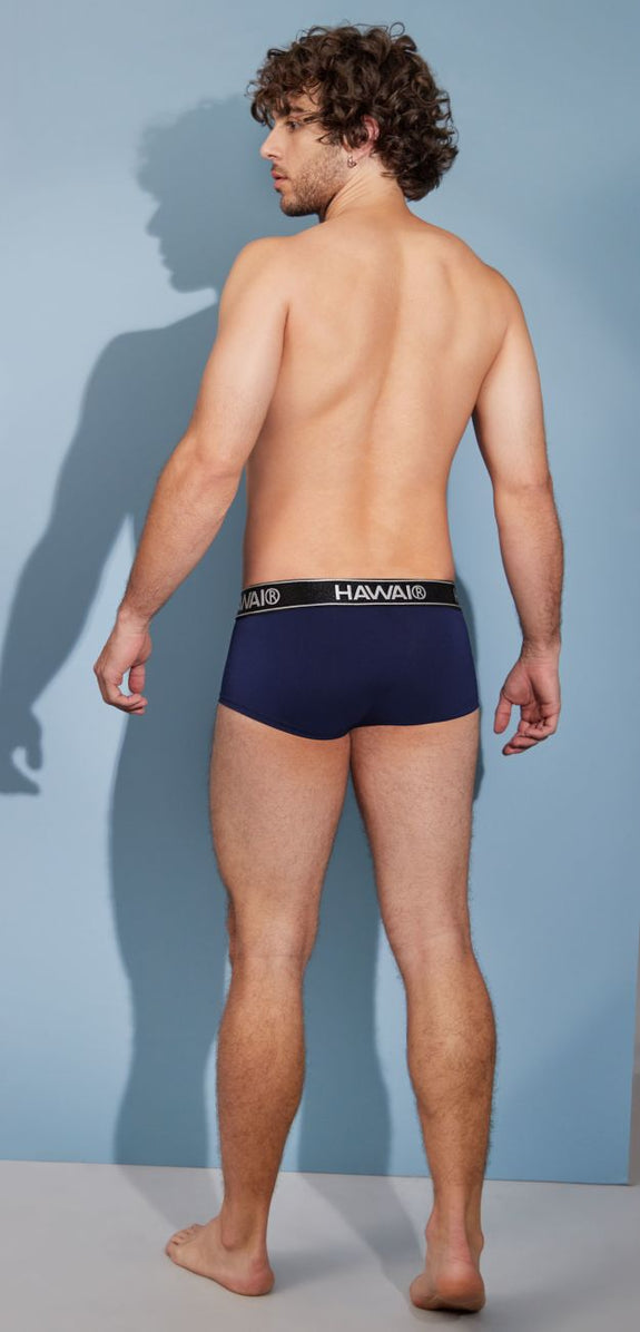 HAWAIR 41961 Microfiber Briefs