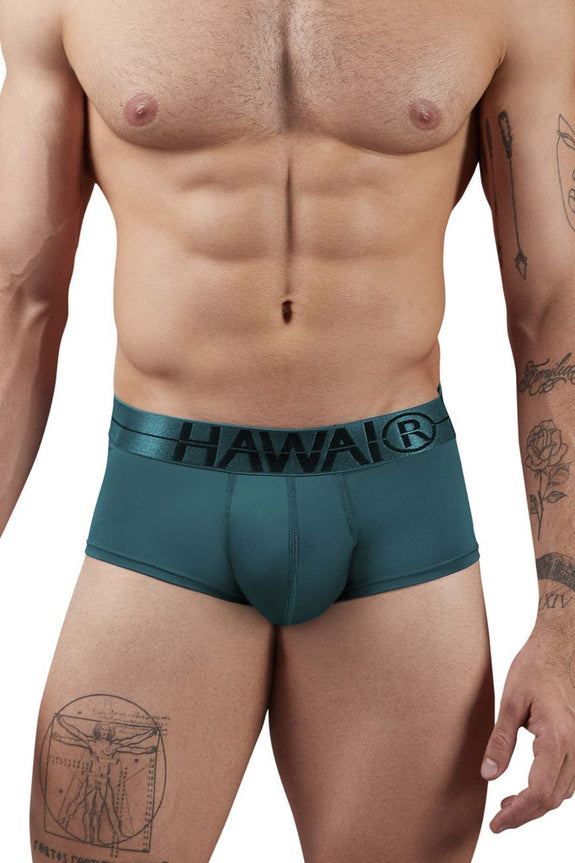 HAWAIR 41961 Microfiber Briefs