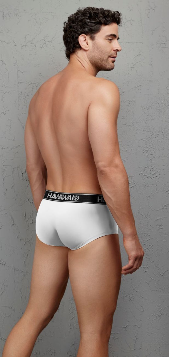 HAWAIR 41961 Microfiber Briefs