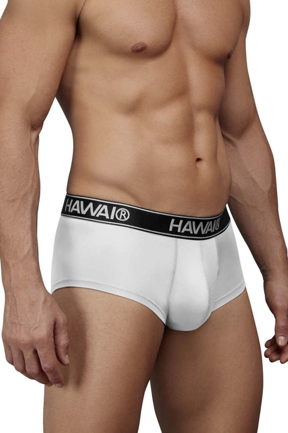 HAWAIR 41961 Microfiber Briefs
