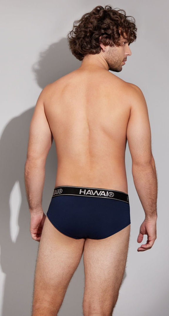 HAWAIR 41962 Cotton blend Briefs