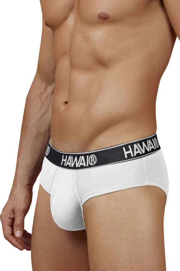HAWAIR 41962 Cotton blend Briefs