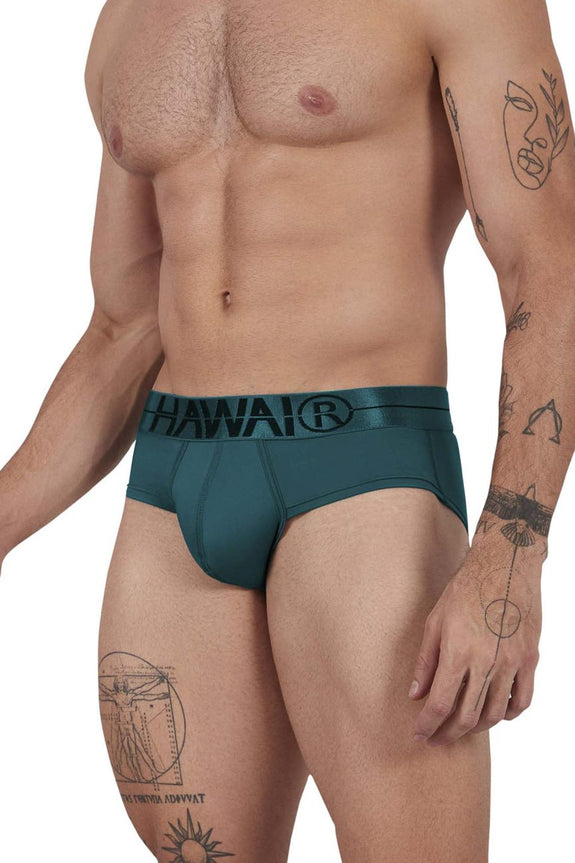 HAWAIR 41963 Microfiber Briefs