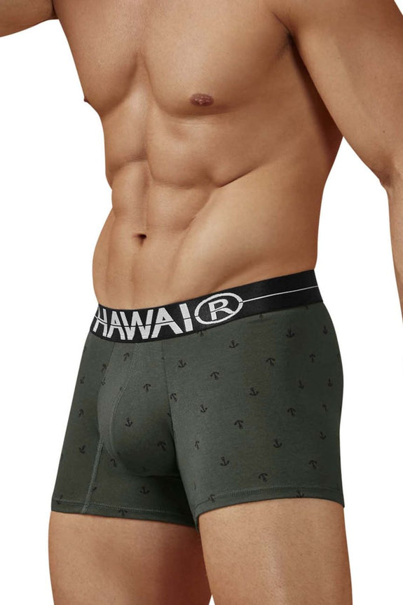 HAWAIR 42521 Cotton blend Trunks