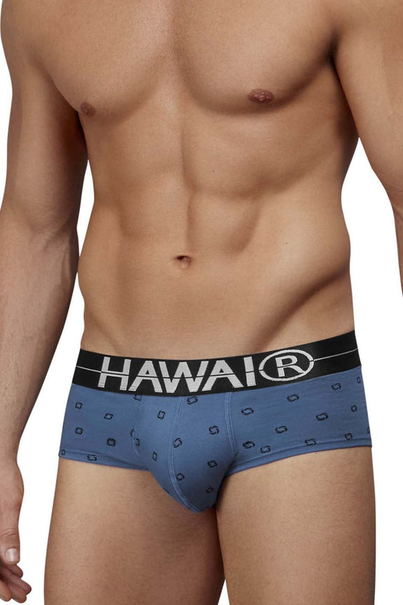 HAWAIR 42531 Cotton blend Briefs