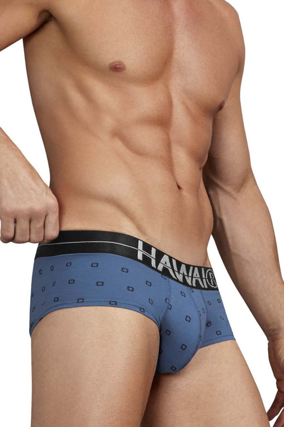 HAWAIR 42531 Cotton blend Briefs