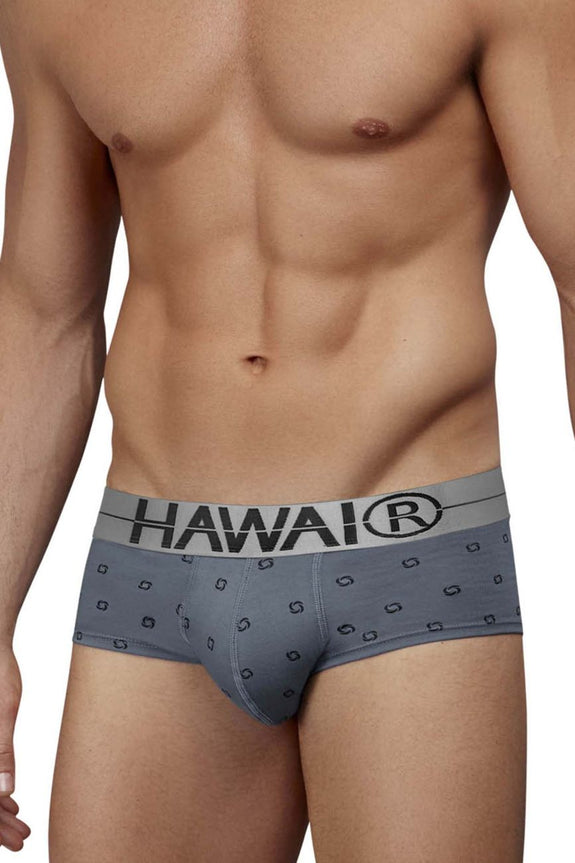 HAWAIR 42531 Cotton blend Briefs