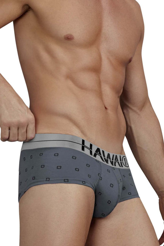 HAWAIR 42531 Cotton blend Briefs