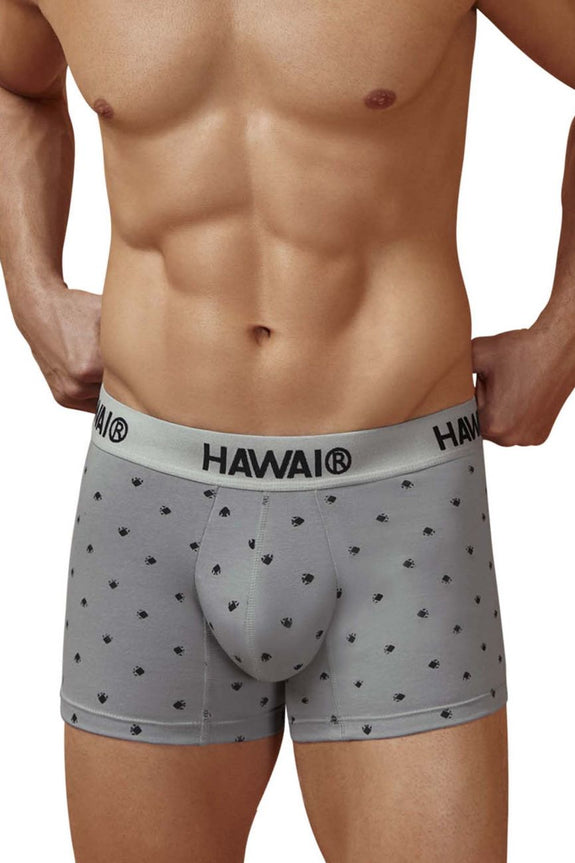 HAWAIR 42571 Cotton blend Trunks