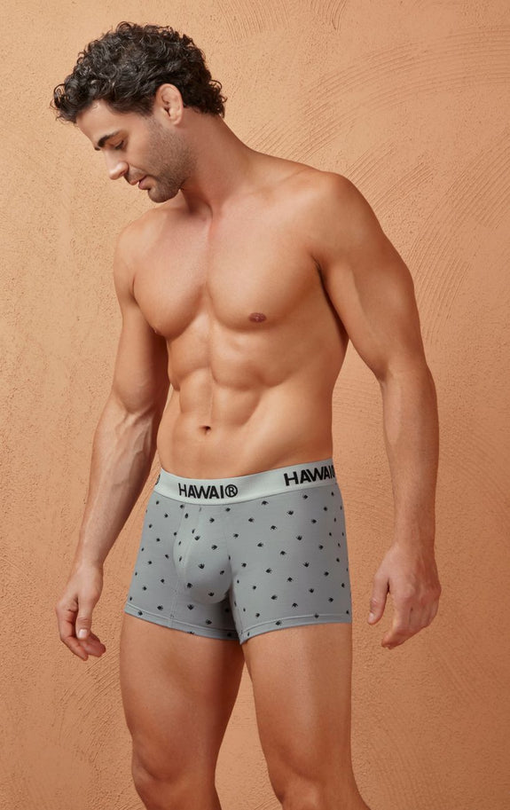 HAWAIR 42571 Cotton blend Trunks
