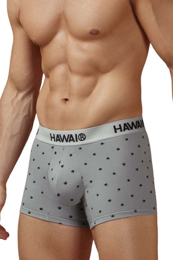 HAWAIR 42571 Cotton blend Trunks