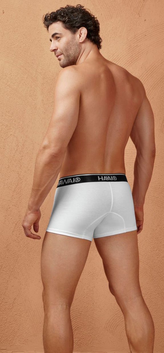 HAWAIR 4986 Cotton blend Trunks