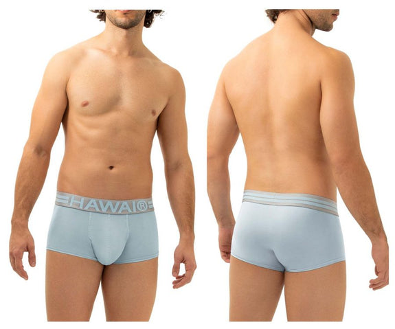 HAWAI 41961 Microfiber Briefs