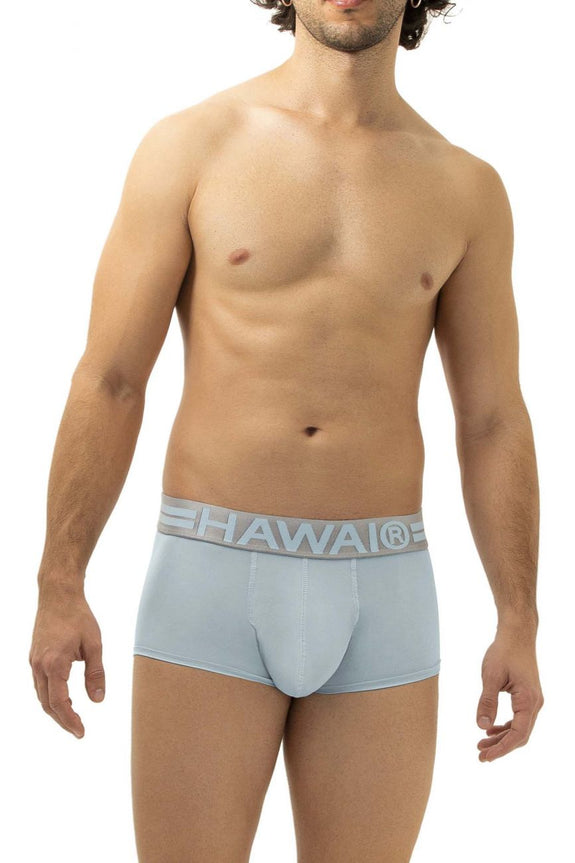 HAWAI 41961 Microfiber Briefs