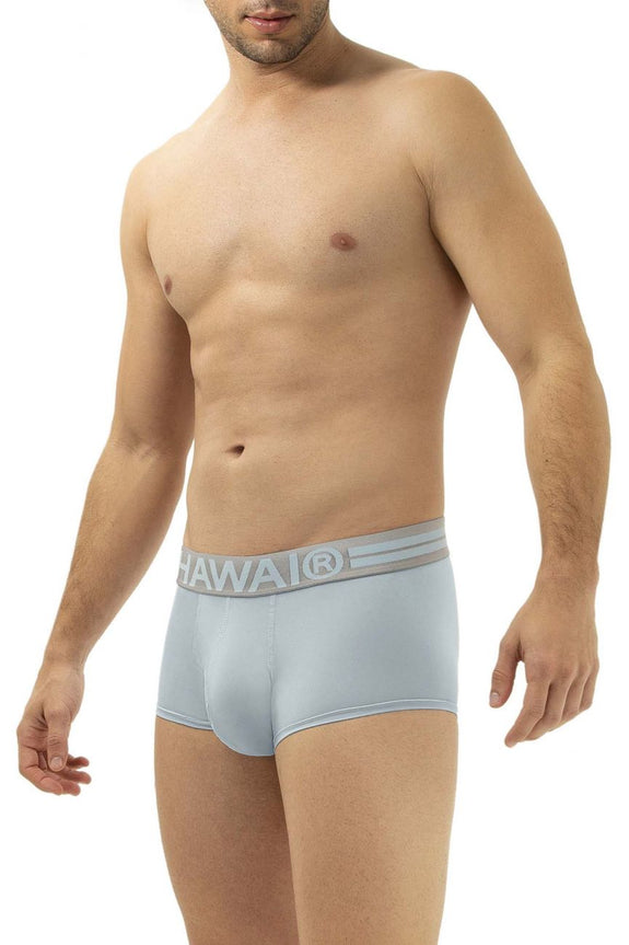 HAWAI 41961 Microfiber Briefs