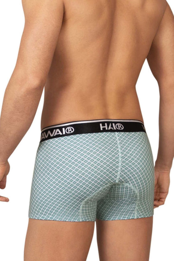 HAWAI 42421 Printed Trunks - SomethingTrendy.com