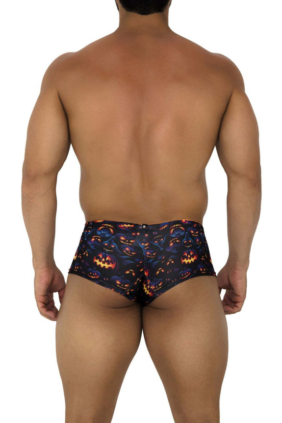 Xtremen 91193 Printed Trunks - SomethingTrendy.com