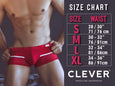 Clever 0420 Requirement Trunks - SomethingTrendy.com