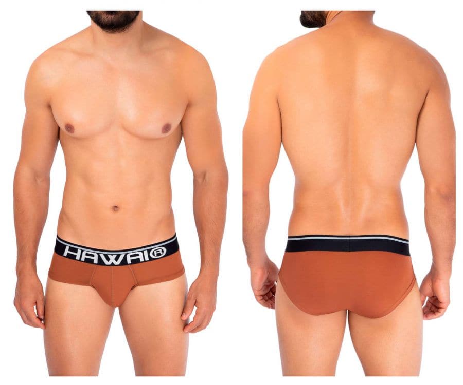 HAWAI 42191 Solid Microfiber Hip Briefs - SomethingTrendy.com