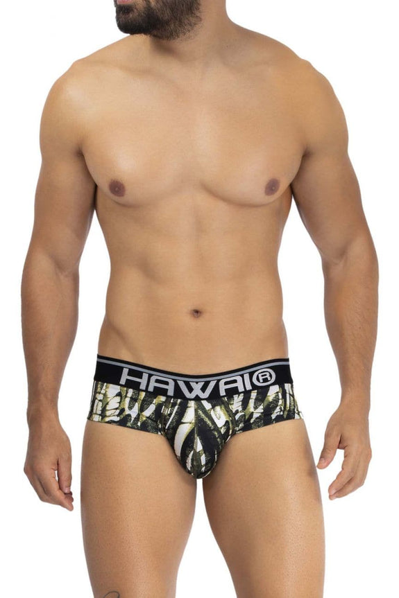 HAWAI 42192 Printed Microfiber Hip Briefs - SomethingTrendy.com